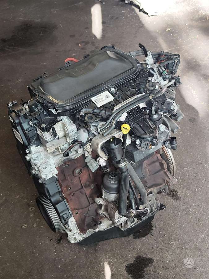 Ford C-MAX, UFDB, variklis