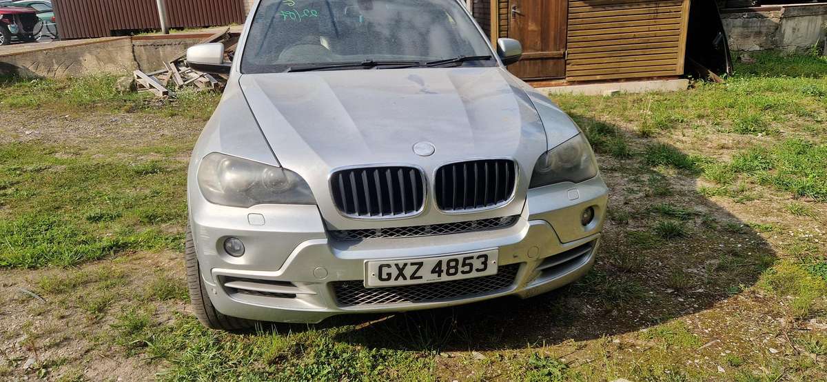 BMW X5 dalimis