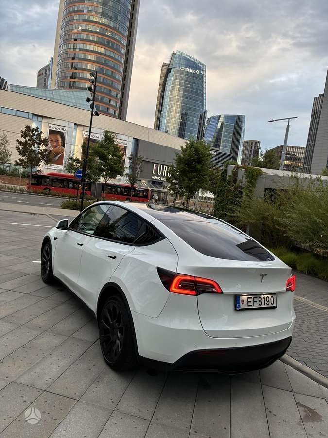 Tesla Model Y - 10