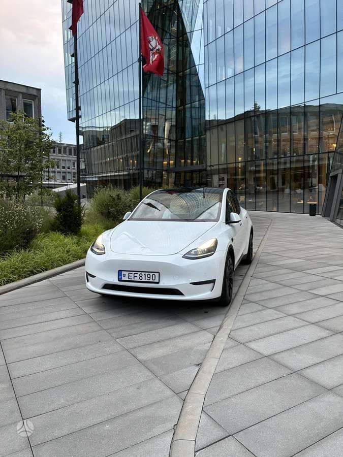 Tesla Model Y - 6