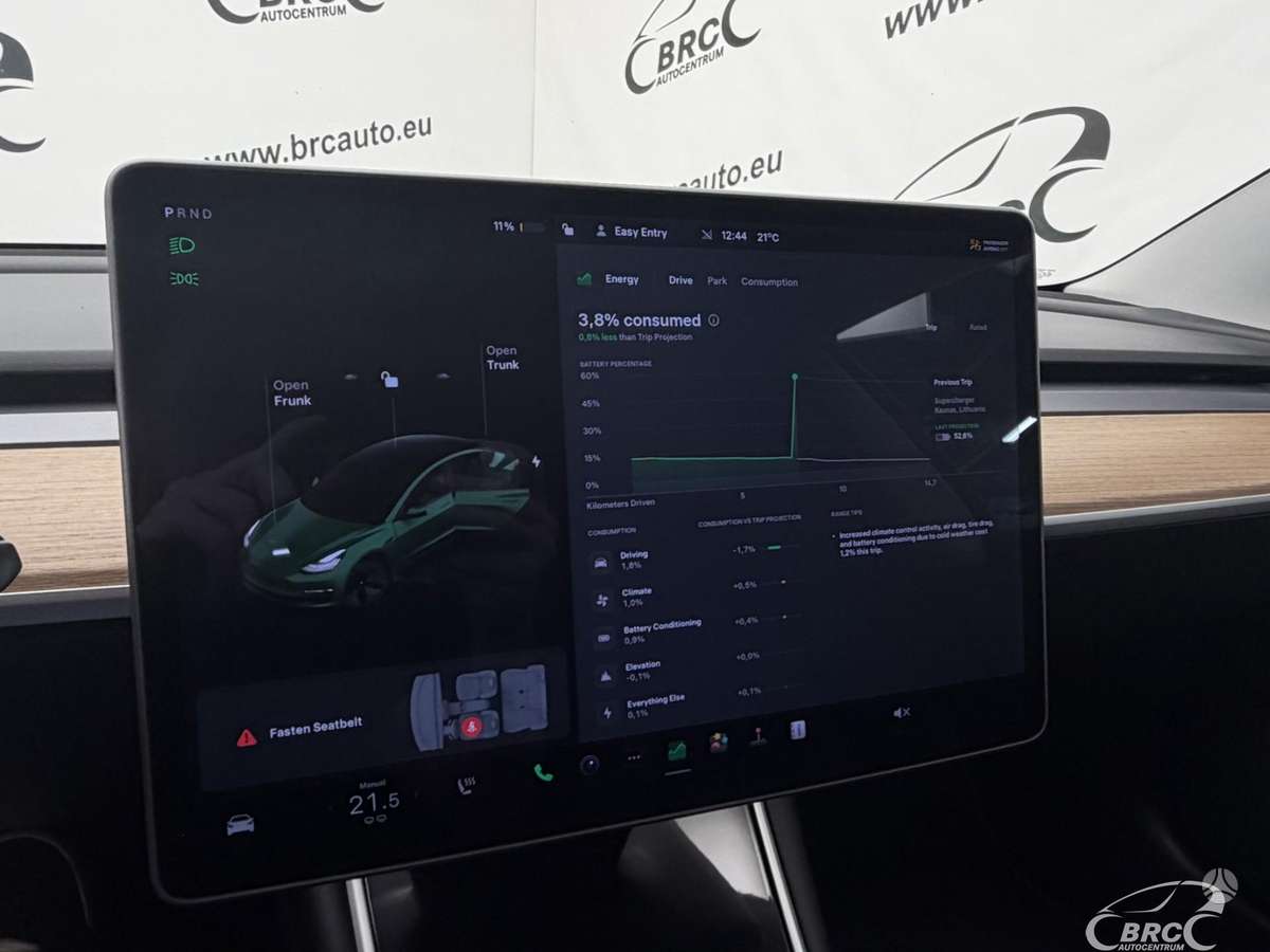 Tesla Model 3, 55 kWh, sedanas