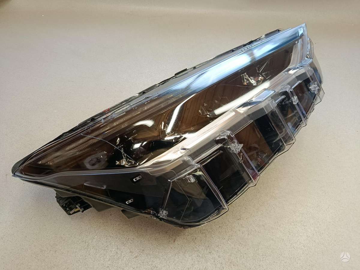Ford Mustang Mach-E, LJ8B13E014BE,  442683, lights