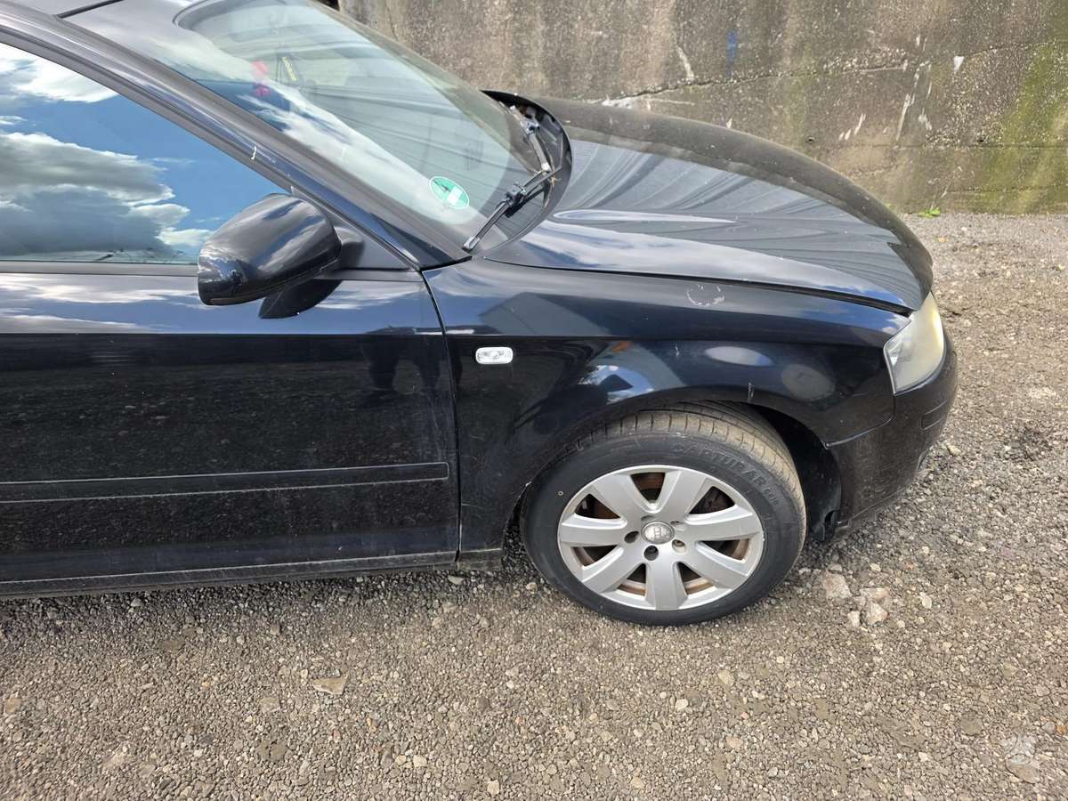 Audi A3 kėbulo dalys