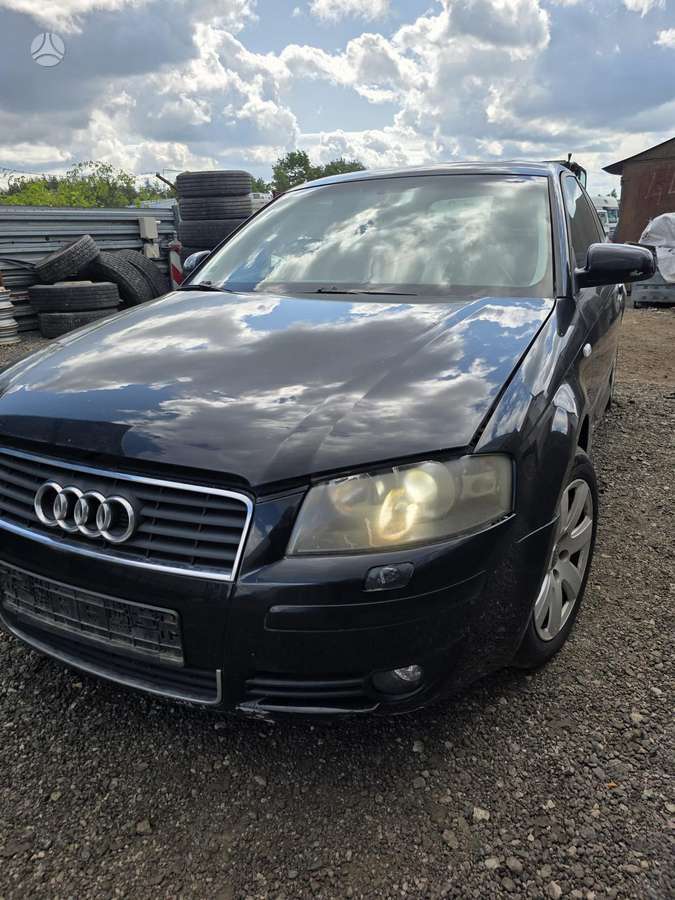 Audi A3 kėbulo dalys