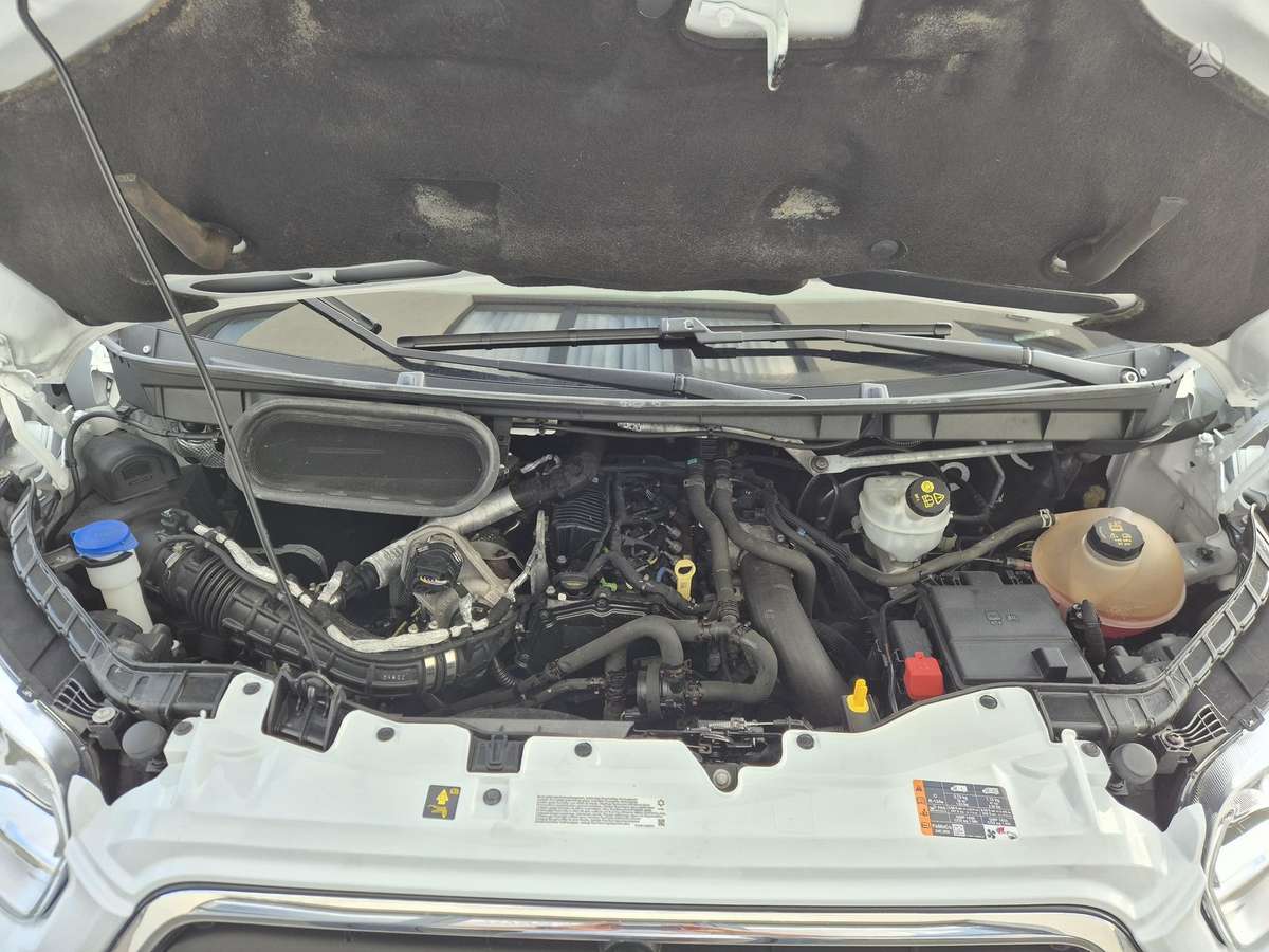 Ford Transit, bortiniai su tentu