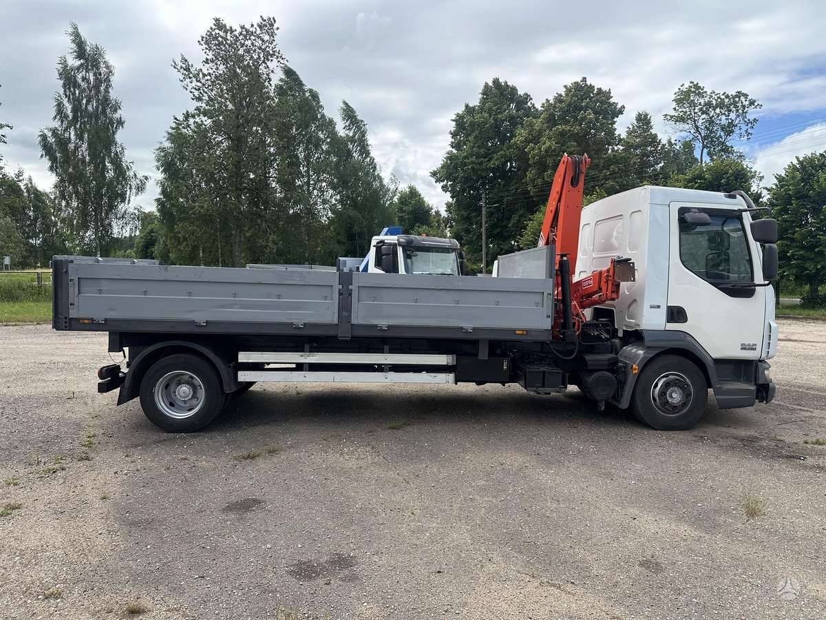 DAF AE 45 LF, dumpers with crane
