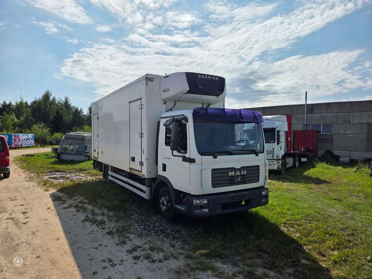 MAN TGL, refrigerated trucks