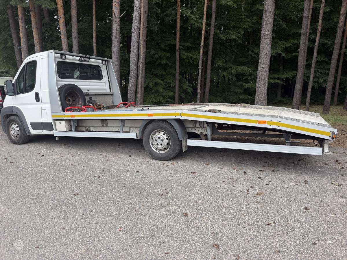 Peugeot Boxer, auto transporters
