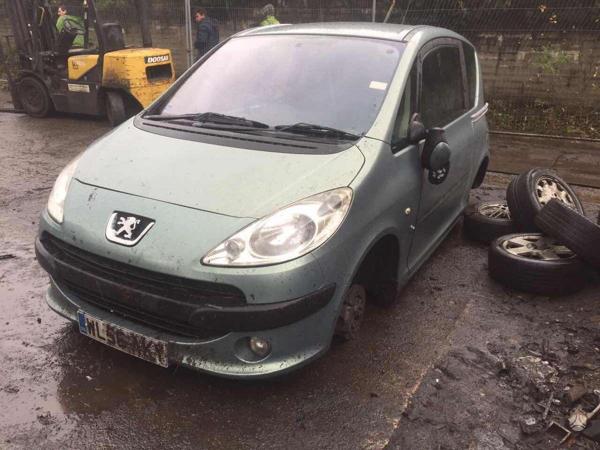 Peugeot 1007 dalimis