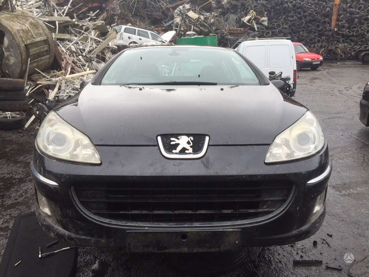 Peugeot 407 variklio detalės