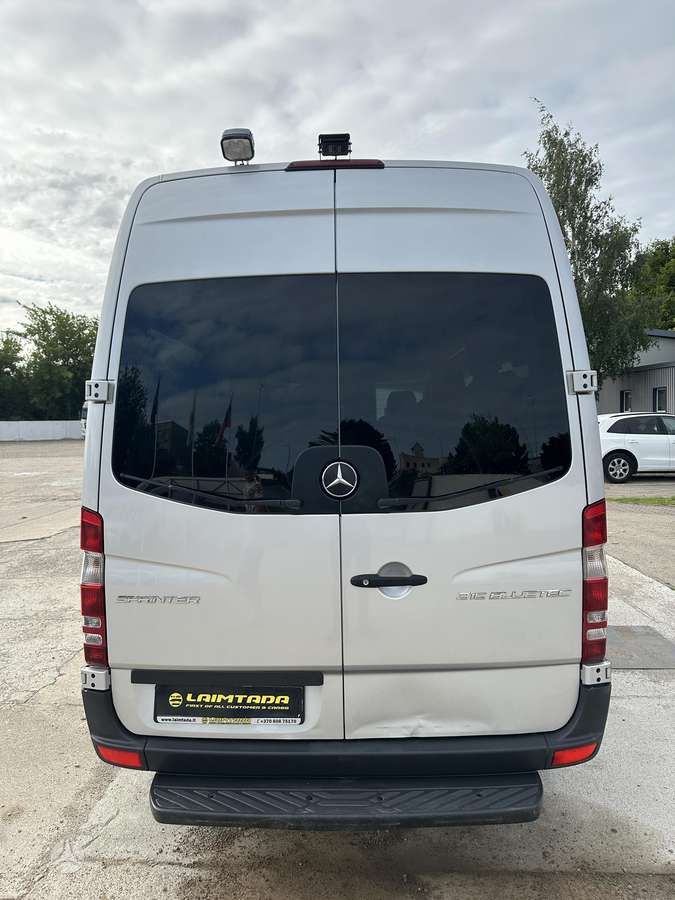 Mercedes-Benz Sprinter, passenger minibus