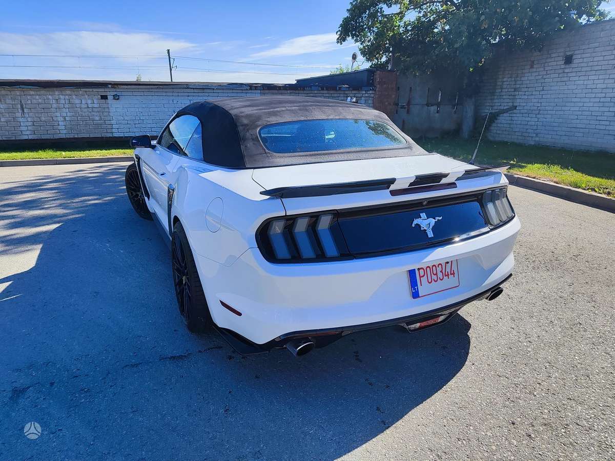 Ford Mustang, 3.7 l., kabrioletas