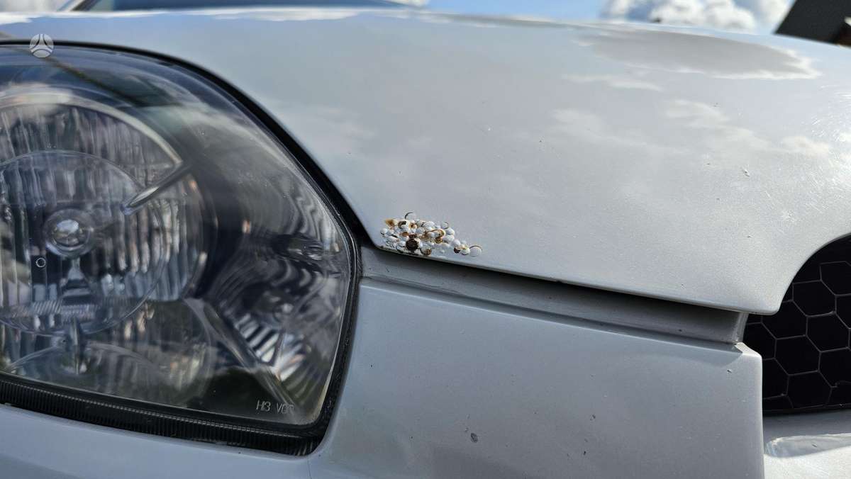 Mitsubishi Eclipse, 2.4 l., coupe