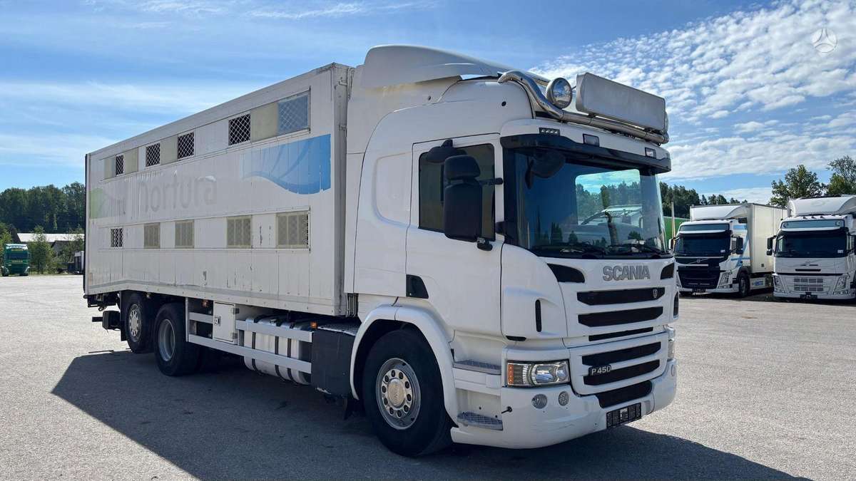 Scania P450, livestock trucks