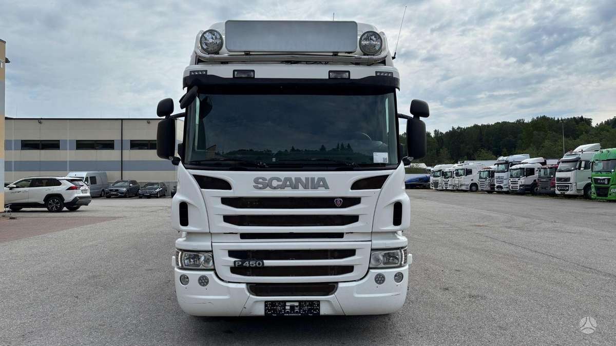 Scania P450, livestock trucks