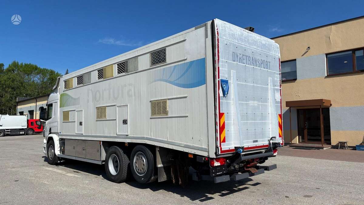 Scania P450, livestock trucks
