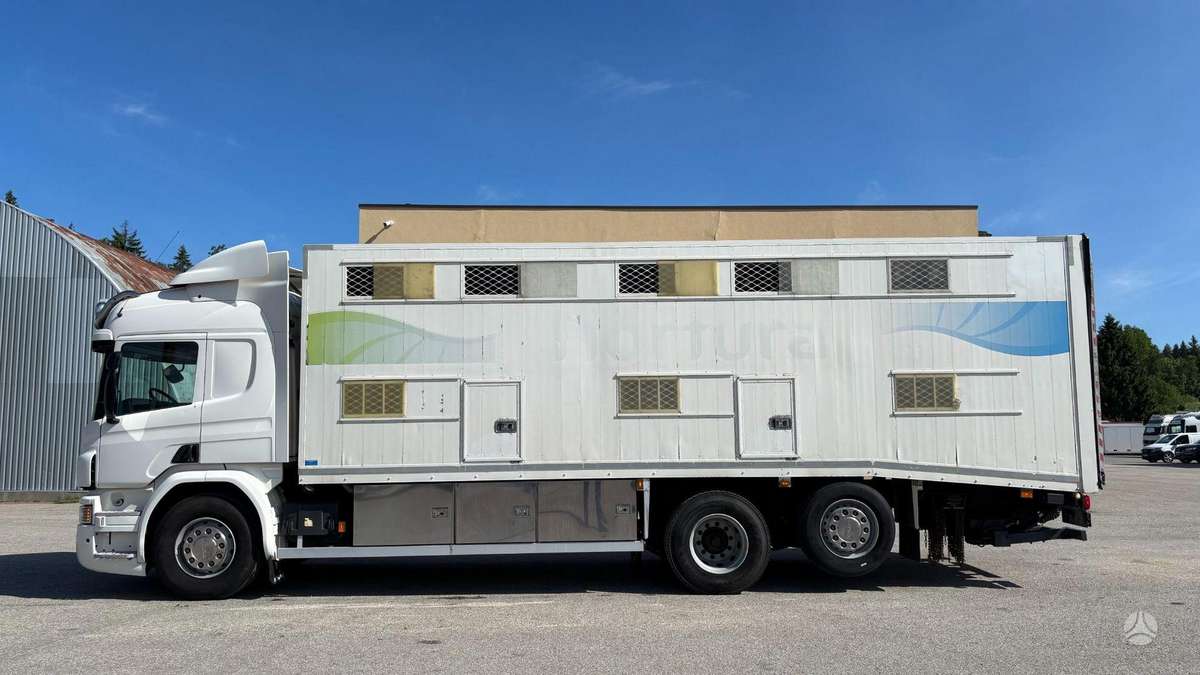 Scania P450, gyvulių pervežimo