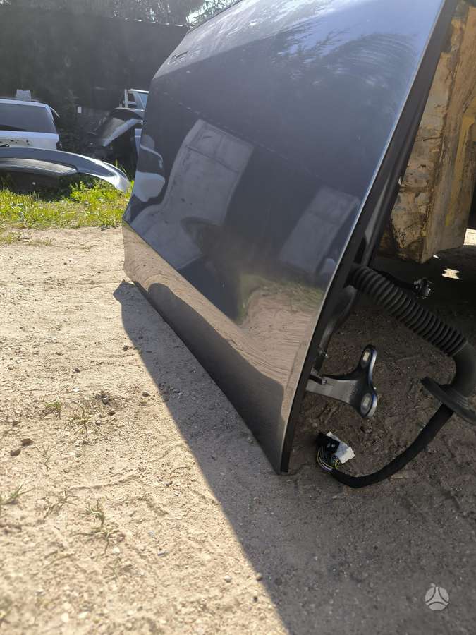 Tesla Model Y Juniper durys tik durys stiklo nera