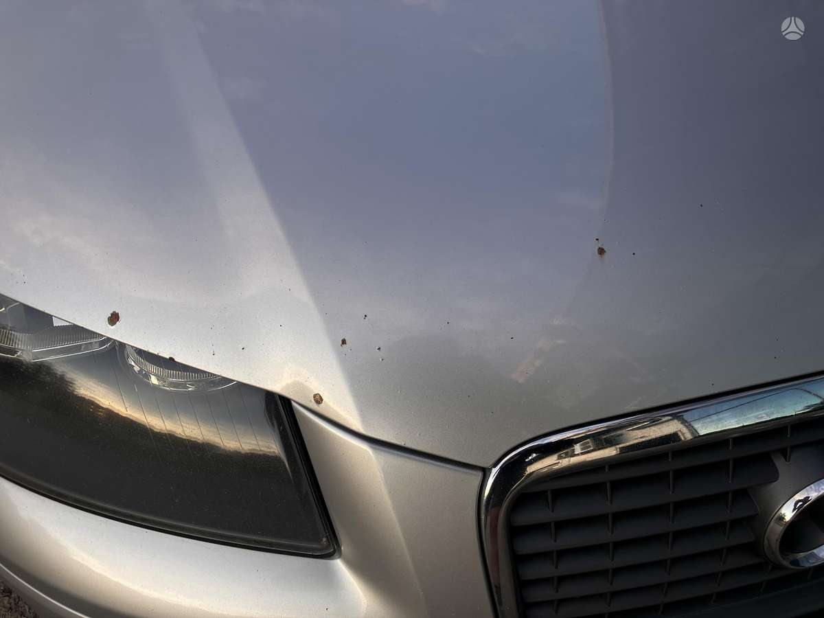 Audi A3, 1.9 l., hatchback