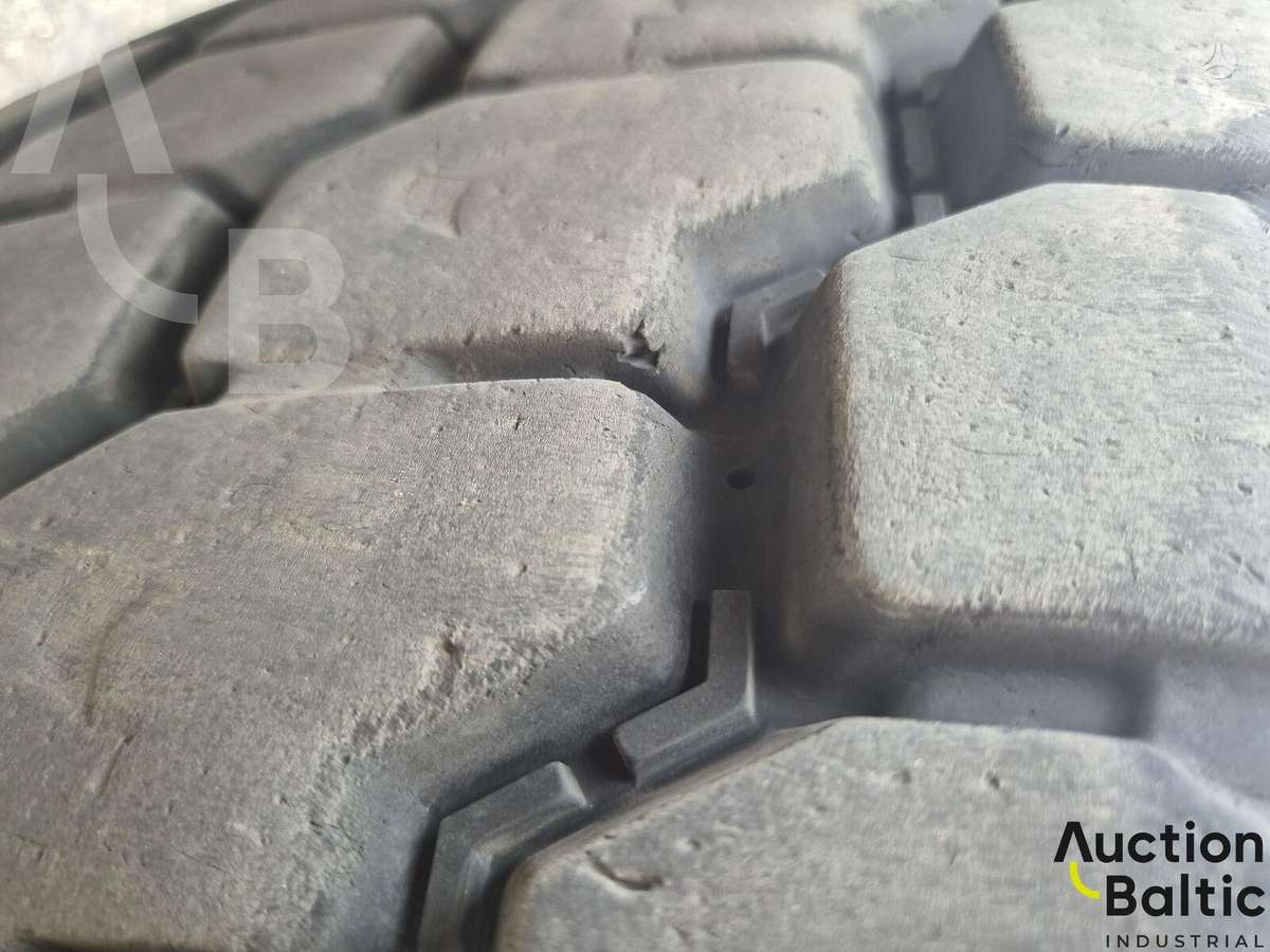 MAN TGS, other