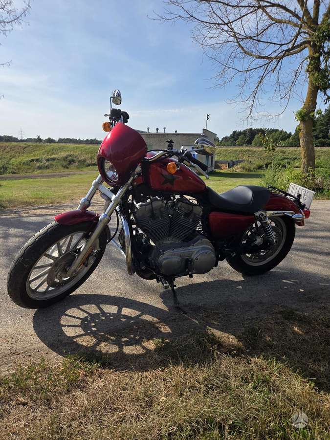 Harley-Davidson 883, choppers / cruisers / custom