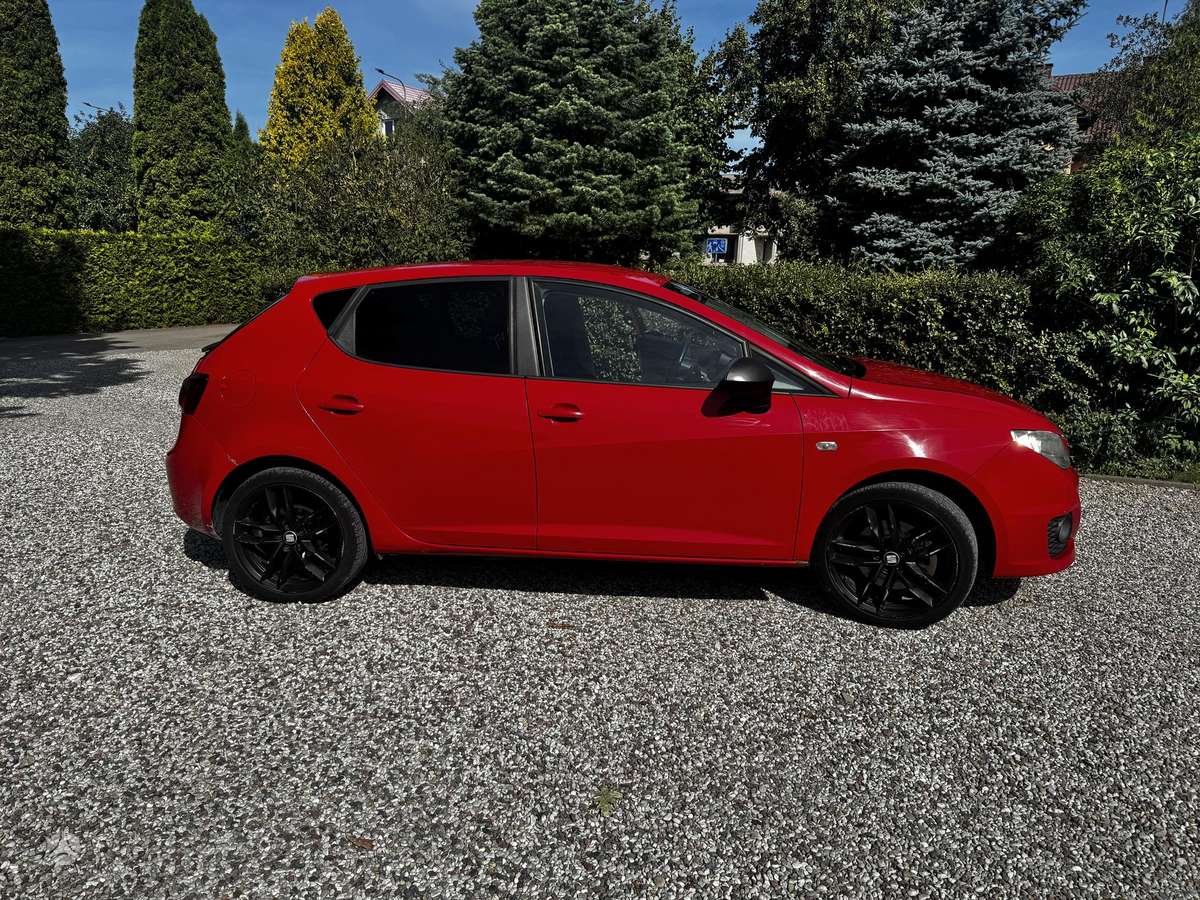 Seat Ibiza, 2.0 l., hatchback