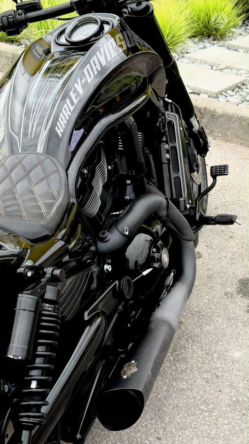 Harley-Davidson VRSCDX  1247cc, чопперы / круизеры / custom