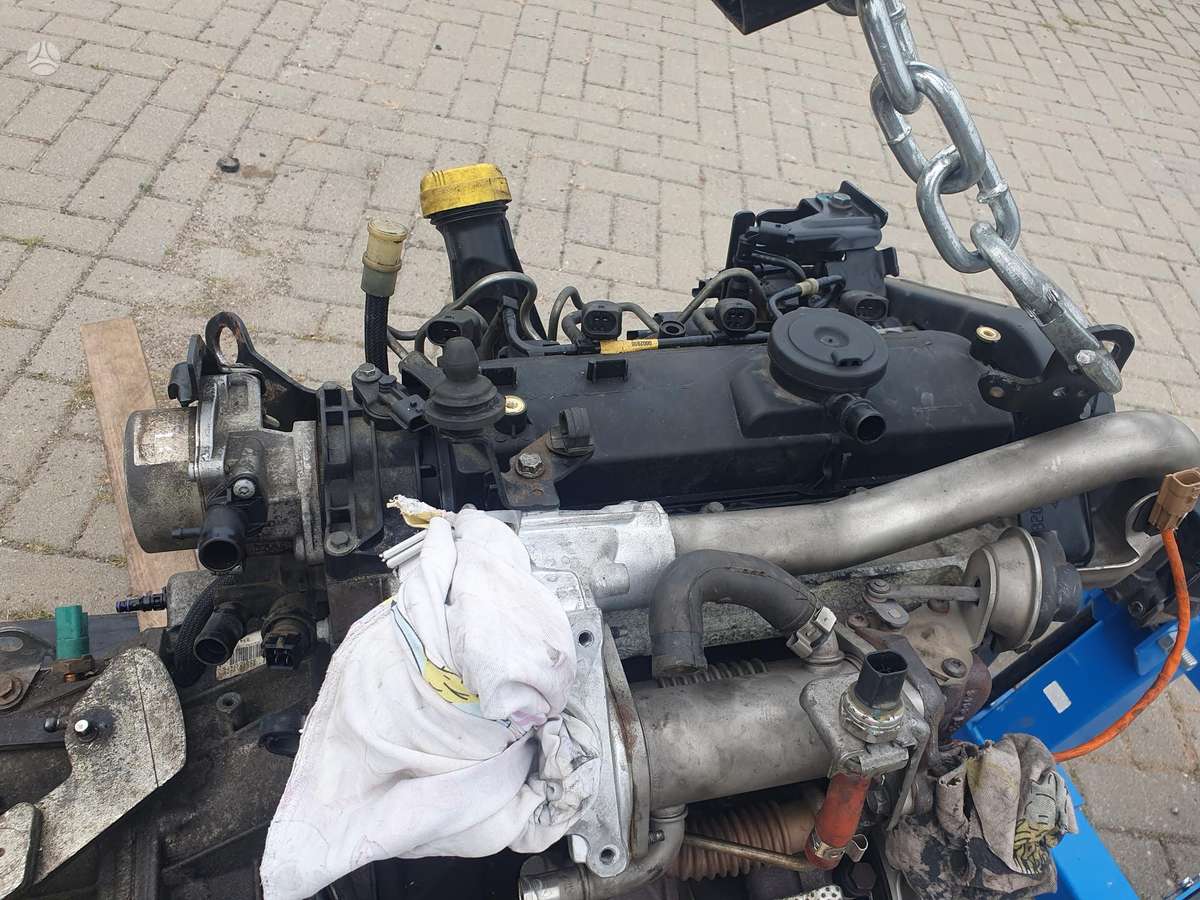 Dacia Duster, D108086, variklis
