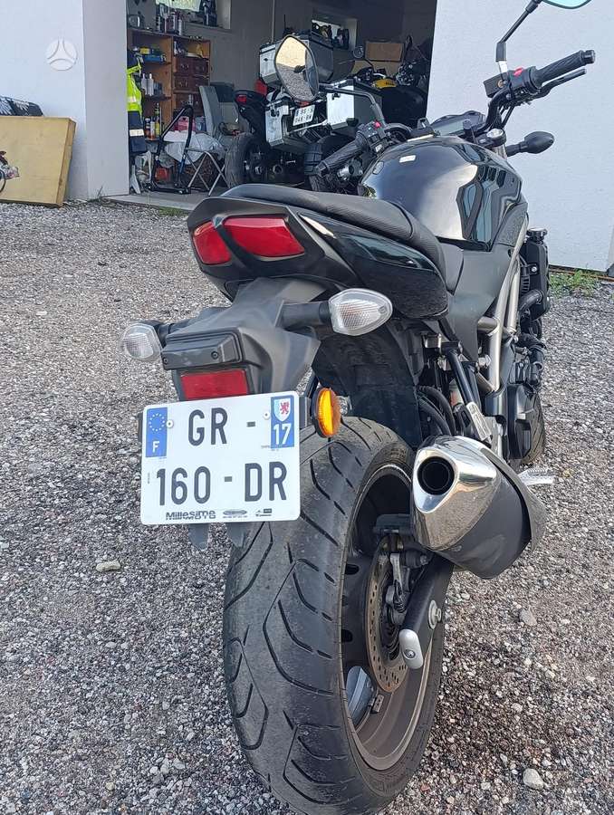 Suzuki SV 650cc, street / classic