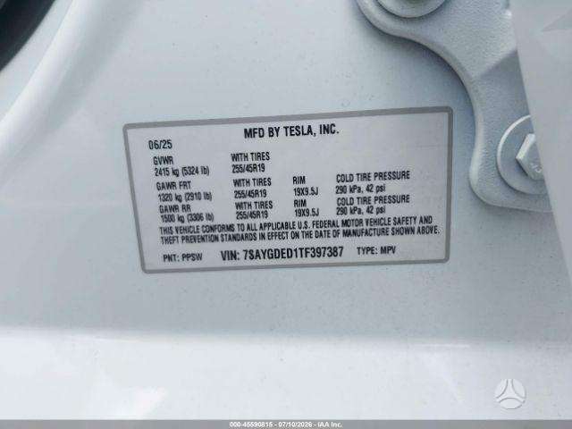 Tesla Model Y, Внедорожник / Кроссовер