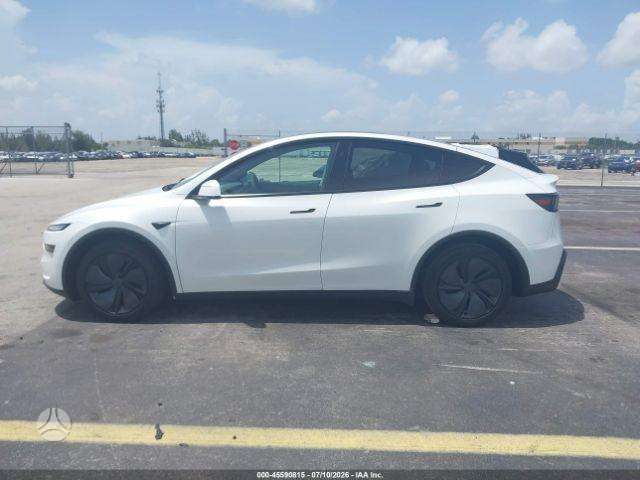 Tesla Model Y, Внедорожник / Кроссовер