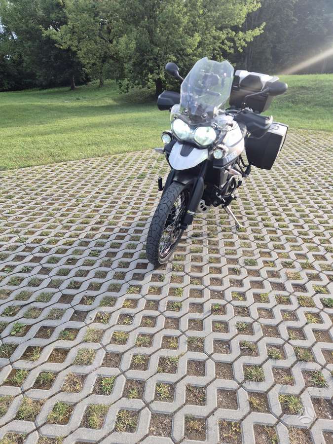 Triumph Tiger, enduro / adventure