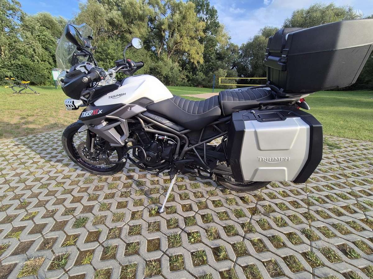 Triumph Tiger, enduro / adventure