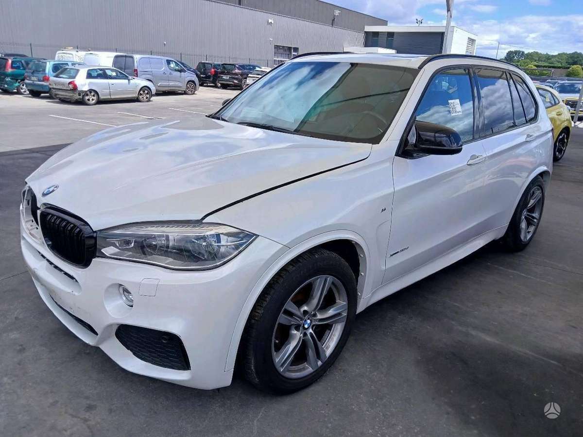 BMW X5 dalimis