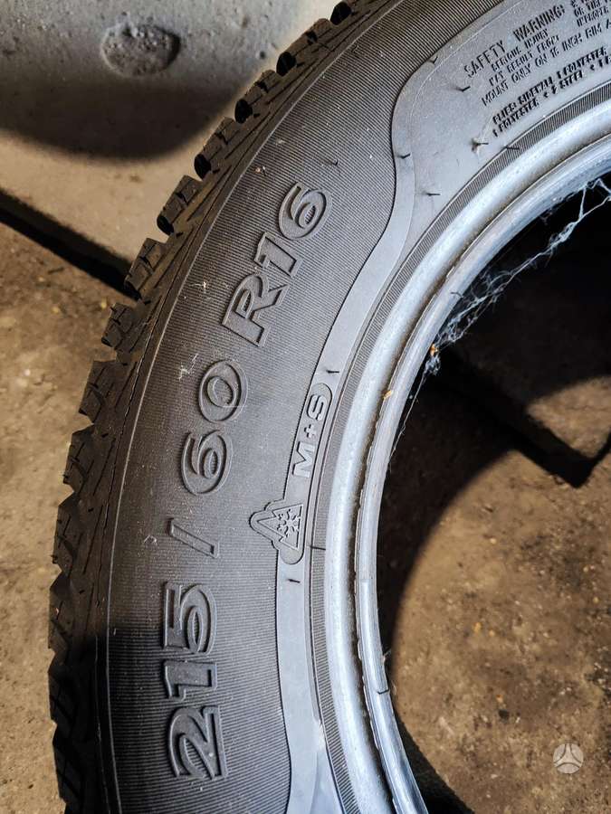 Sava, winter 215/60 R16