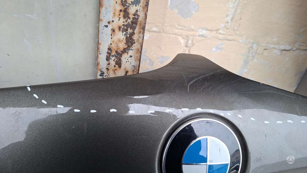 BMW X6 Cen31919