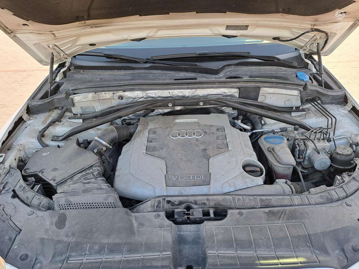 Audi Q5, 3.0 l., Внедорожник / Кроссовер