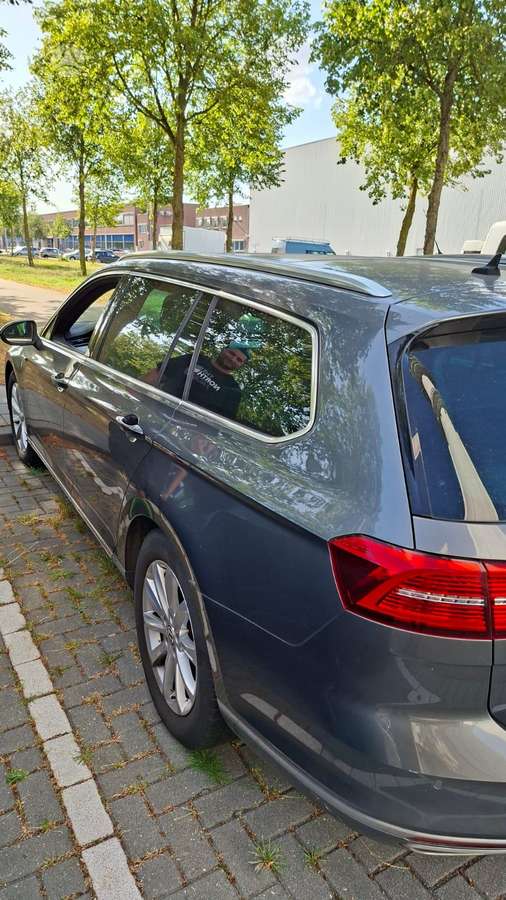 Volkswagen Passat dalimis