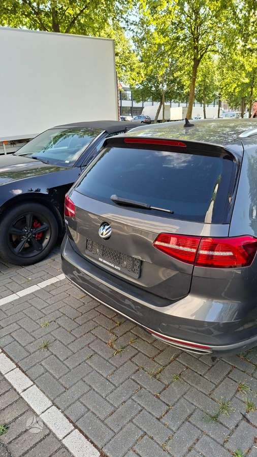 Volkswagen Passat dalimis