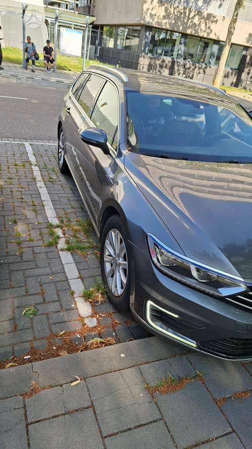 Volkswagen Passat dalimis