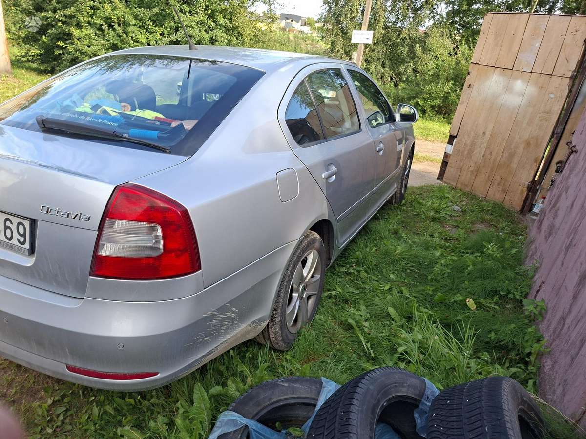 Škoda Octavia - 6