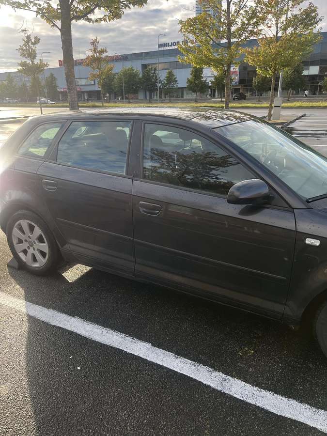 Audi A3, 1.9 l., hatchback