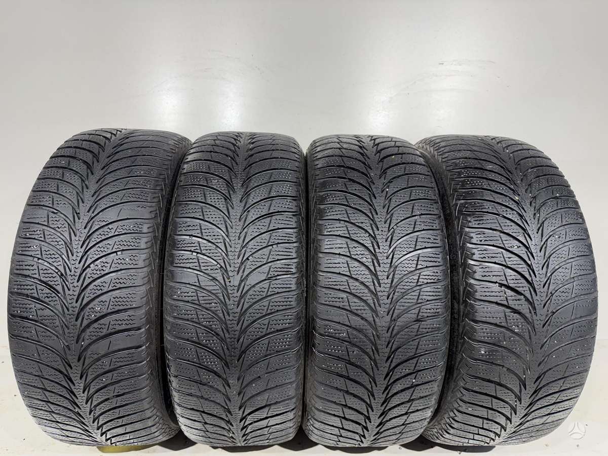 Sava Eskimo Ice, winter 205/55 R16