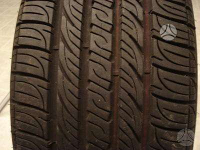 Continental SUPER KAINA, winter 195/55 R16