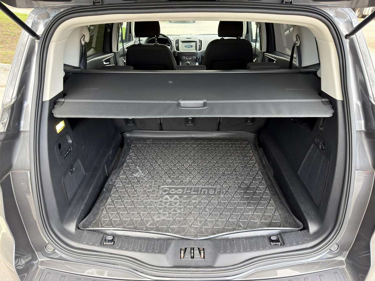 Ford S-MAX, 2.0 l., mpv / minivan
