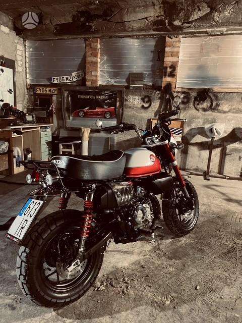 Honda Monkey 125cc, minibikes