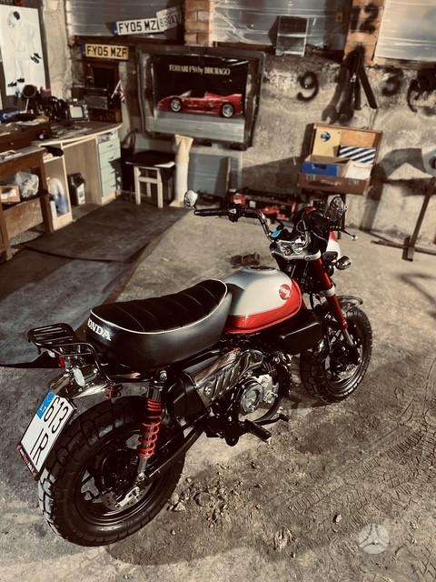 Honda Monkey 125cc, minibikes