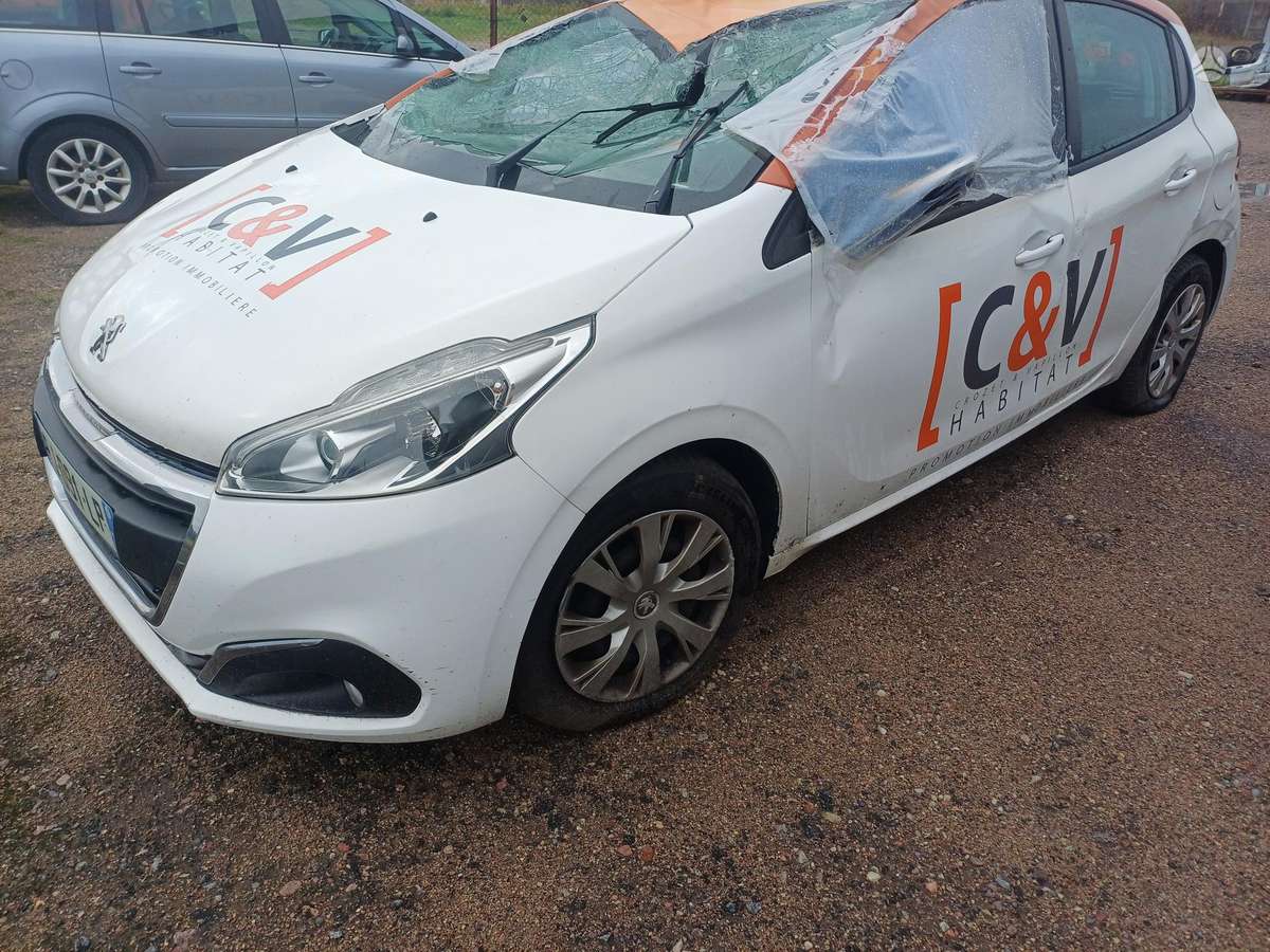 Peugeot 208 Spalvos kodas ewp