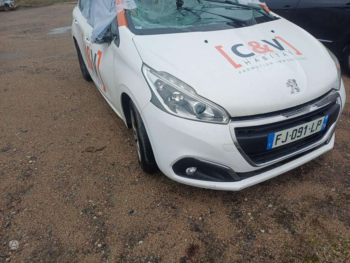 Peugeot 208 Spalvos kodas ewp