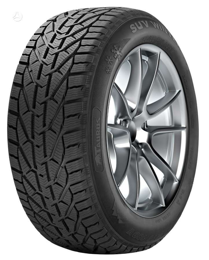 Taurus Winter, žieminės 225/55 R16